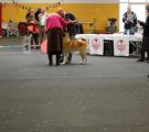 DSC_0811.JPG