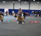 DSC_0830.JPG