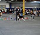 DSC_0838.JPG