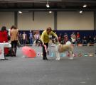 DSC_0861.JPG