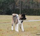 DSC_0107n.jpg