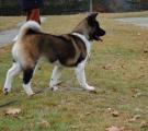 DSC_0132n.jpg